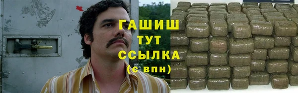 ECSTASY Покачи