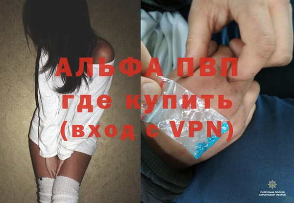 ECSTASY Покачи