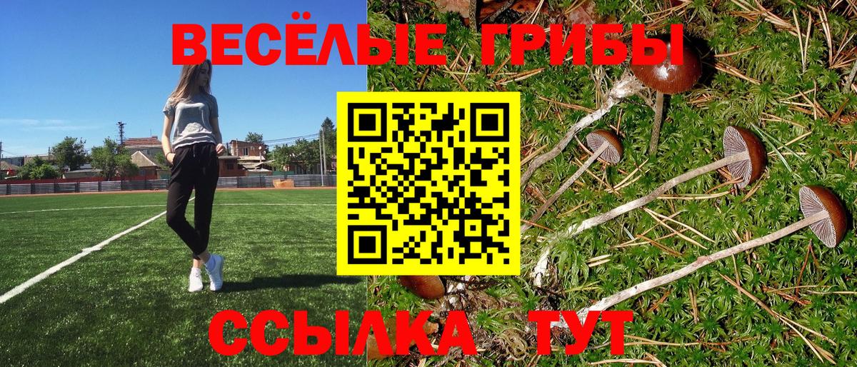 Псилоцибиновые грибы Psilocybe Татарск