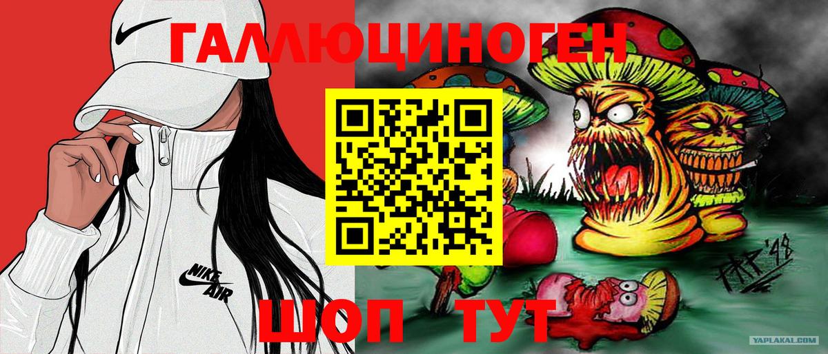 Галлюциногенные грибы прущие грибы  Псилоцибиновые грибы Psilocybine cubensis  Татарск 